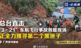 八公山新闻爆料事件最新,真相大白，疑云散去